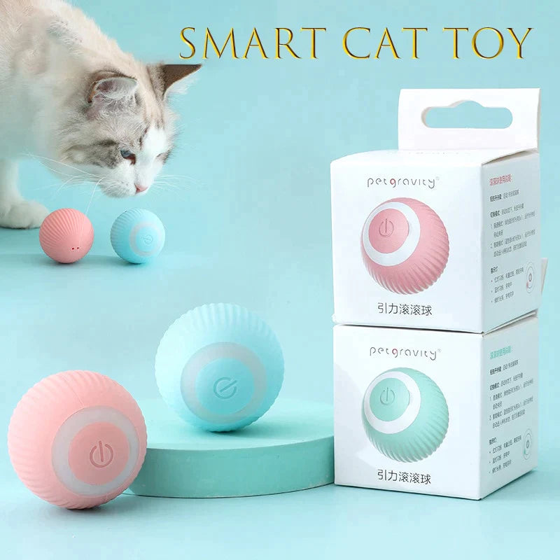 Bolinha interativa para gatos - Gifts online